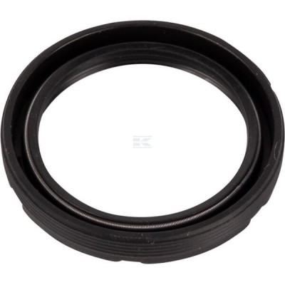 Uszczelniacz oleju Raico 215291290N | Exvi