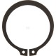Pierścień zabezpieczający ZF 0630501033 | Exvi
