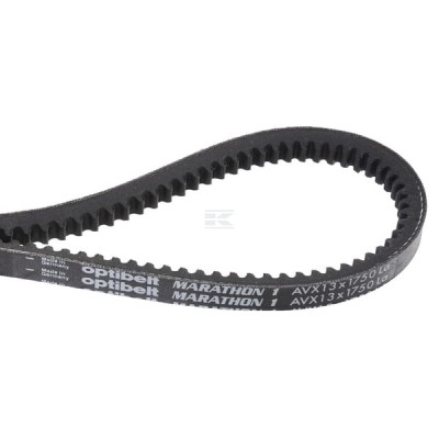 Pas klinowy uzębiony Optibelt, AVX 13x1750 AVX131750 | Exvi