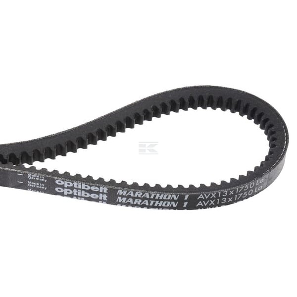 Pas klinowy uzębiony Optibelt, AVX 13x1750 AVX131750 | Exvi