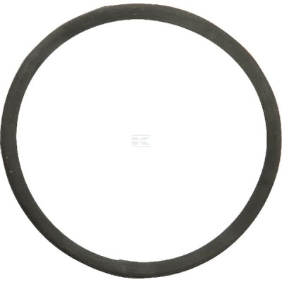 Uszczelka termostatu, Case-Steyr 130100061002 | Exvi