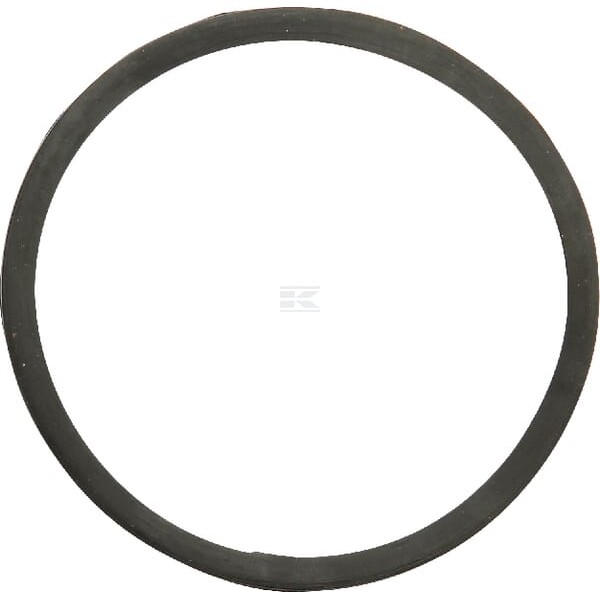 Uszczelka termostatu, Case-Steyr 130100061002 | Exvi