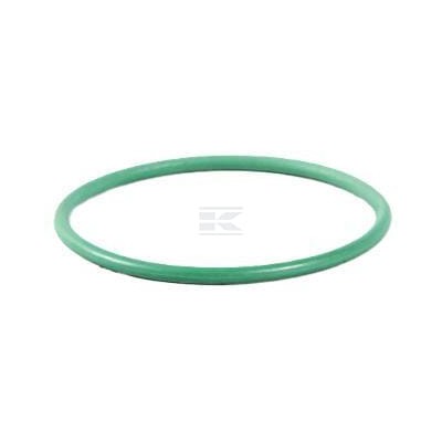 Pierścień uszczelniający o-ring 17290281FPT | Exvi