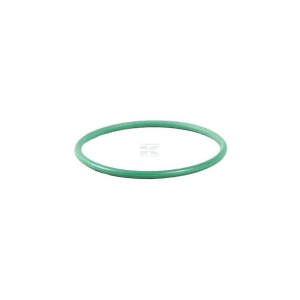 Pierścień uszczelniający o-ring 17290281FPT | Exvi