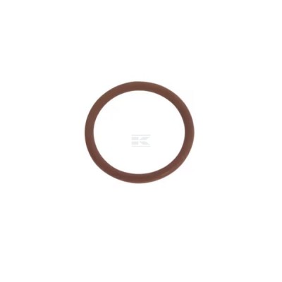 Pierścień uszczelniający o-ring 17282381FPT | Exvi