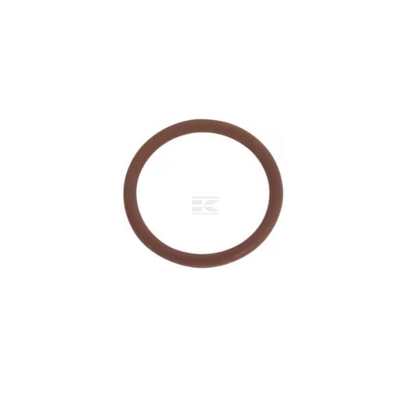 Pierścień uszczelniający o-ring 17282381FPT | Exvi