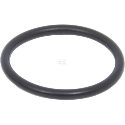 O-ring 14457980 | Exvi