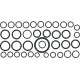 Zestaw pierścieni uszczelniających o-ring 81825774 | Exvi