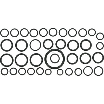 Zestaw pierścieni uszczelniających o-ring 81825774 | Exvi