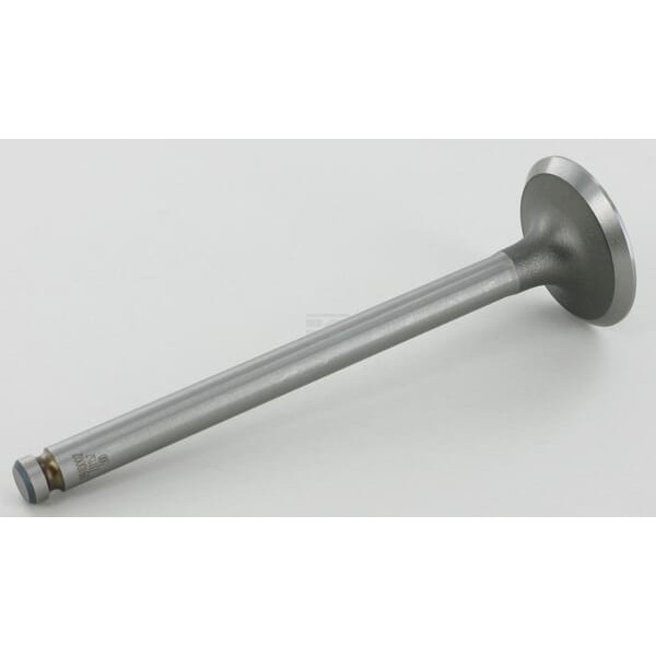 Zawór wydechowy standard Stoll 0910002 | Exvi