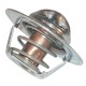 Termostat NH 83913875 | Exvi