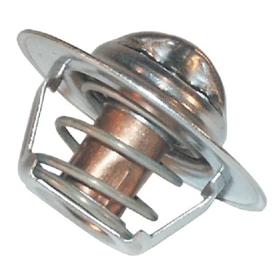 Termostat NH 83913875 | Exvi