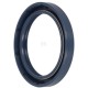 Uszczelniacz BAUD4SLDRWX7 60.3x79.3x10 6005019186N | Exvi