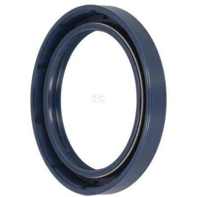 Uszczelniacz BAUD4SLDRWX7 60.3x79.3x10 6005019186N | Exvi
