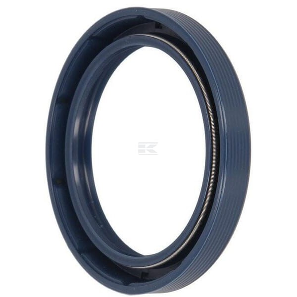 Uszczelniacz BAUD4SLDRWX7 60.3x79.3x10 6005019186N | Exvi
