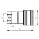 Szybkozłącze gniazdo 1/2" gwint wew. 1/2" NV12GASF | Exvi