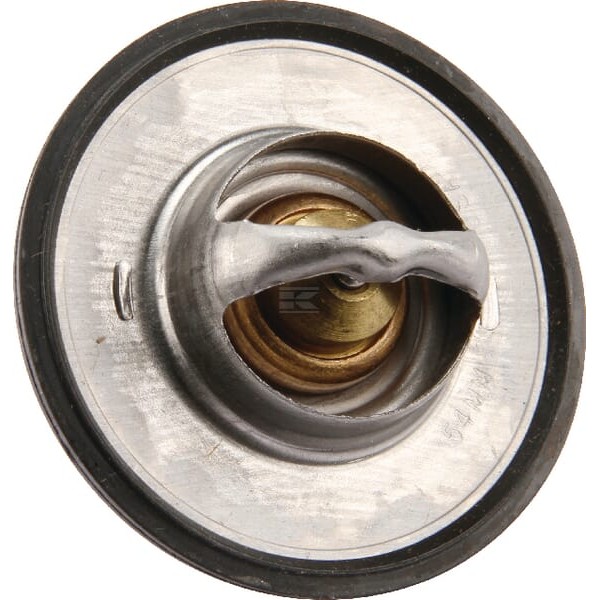 Termostat 0011381470 | Exvi