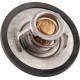 Termostat 0011381470 | Exvi