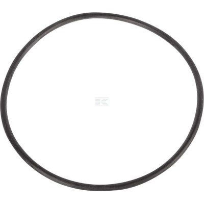 Pierścień uszczelniający o-ring 7700703884 | Exvi