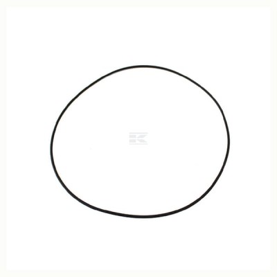 Pierścień o-ring NWS00094 | Exvi