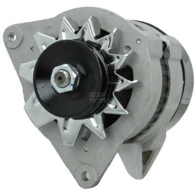 Alternator 14V 34A ALT2625166 | Exvi