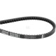 Pas klinowy uzębiony Optibelt, AVX 13x1385 AVX131385 | Exvi
