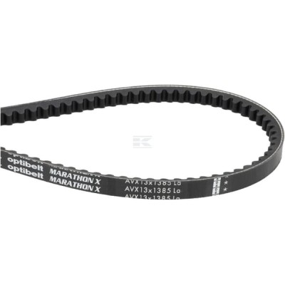 Pas klinowy uzębiony Optibelt, AVX 13x1385 AVX131385 | Exvi