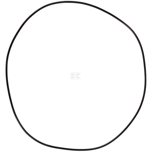 Pierścień uszczelniający o-ring, 206 824 JC82800196 | Exvi