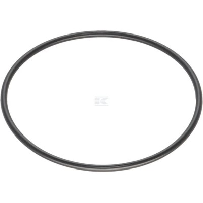 Pierścień uszczelniający o-ring 0481150850 | Exvi