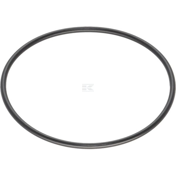 Pierścień uszczelniający o-ring 0481150850 | Exvi