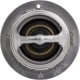 Termostat 1E40173012 | Exvi