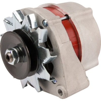 Alternator 14V 55A ALT26250281 | Exvi