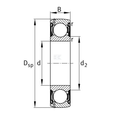 Łożysko kulkowe zwykłe 40x80x18 mm INA/FAG G208NPPB | Exvi