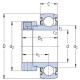 Wkład łożyska 30x62x18 mm SKF 7500YET206 | Exvi