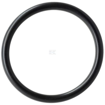Pierścień uszczelniający o-ring pompy T77858 | Exvi