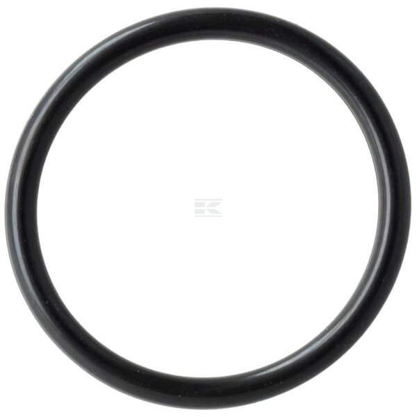 Pierścień uszczelniający o-ring pompy T77858 | Exvi