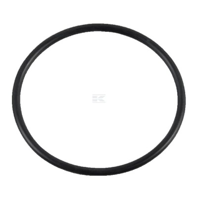 Pierścień uszczelniający o-ring 9992069 | Exvi