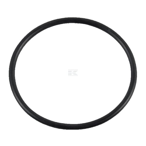 Pierścień uszczelniający o-ring 9992069 | Exvi