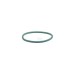 Pierścień uszczelniający o-ring pompy 17290081FPT | Exvi