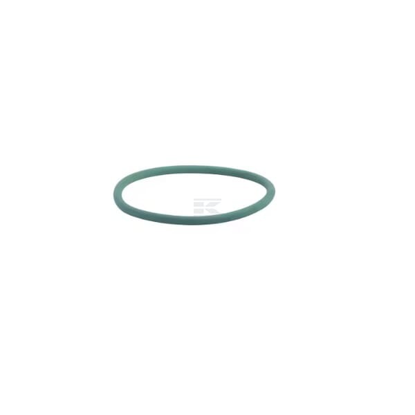 Pierścień uszczelniający o-ring pompy 17290081FPT | Exvi