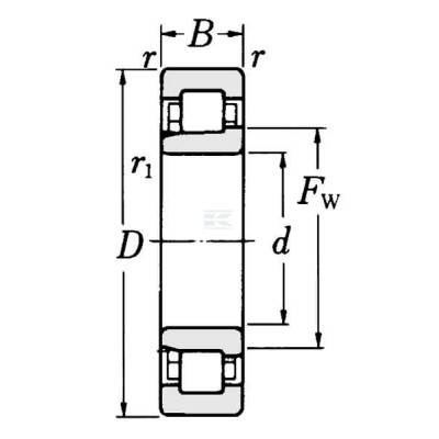 Łożysko walcowe 30x62x16 mm SKF NJ206ECJ | Exvi