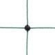 Siatka dla drobiu 122 cm 50 m SP zielona 292410 | Exvi