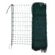 Siatka dla drobiu 106 cm 50 m SP zielona 292276 | Exvi