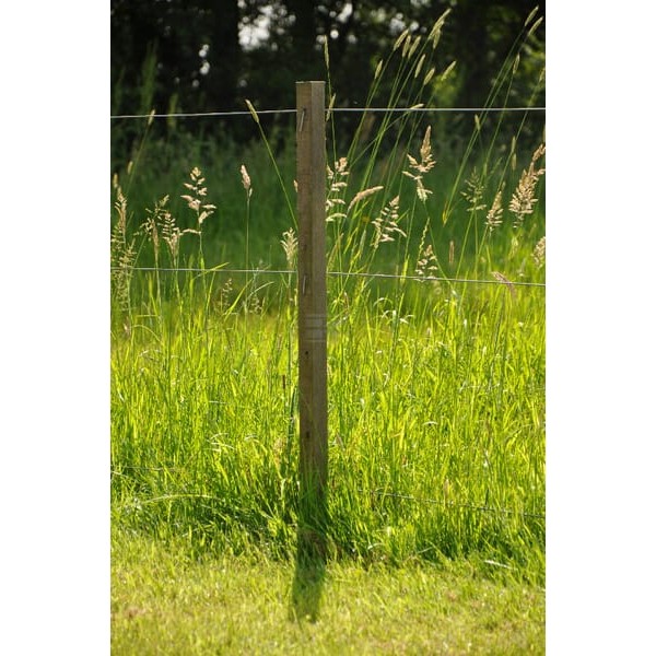 Palik ogrodzeniowy Drewno 95cm x 26mm 007618GAL | Exvi