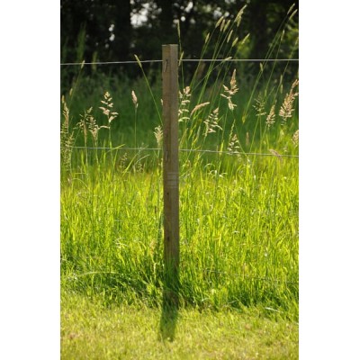 Palik ogrodzeniowy Drewno 200cm x 80mm 017898GAL | Exvi