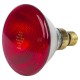 Promiennik PAR 175W czerwony Farma 802008FA | Exvi