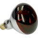 Promiennik HardGlass 250W czerwony 802004FA | Exvi