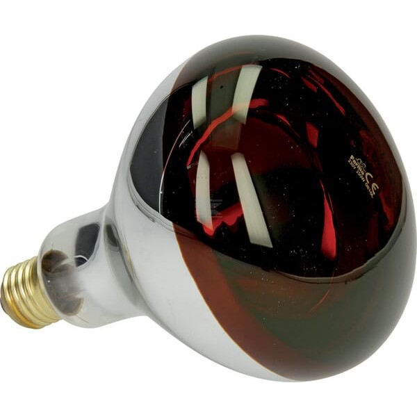 Promiennik HardGlass 250W czerwony 802004FA | Exvi