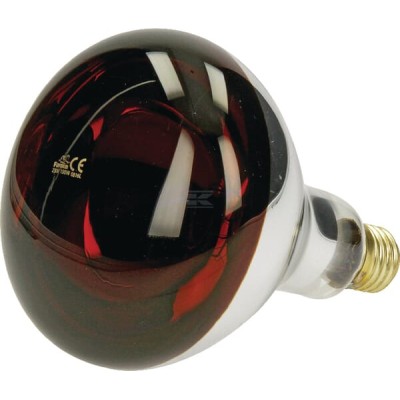 Promiennik HardGlass 150W czerwony 802003FA | Exvi