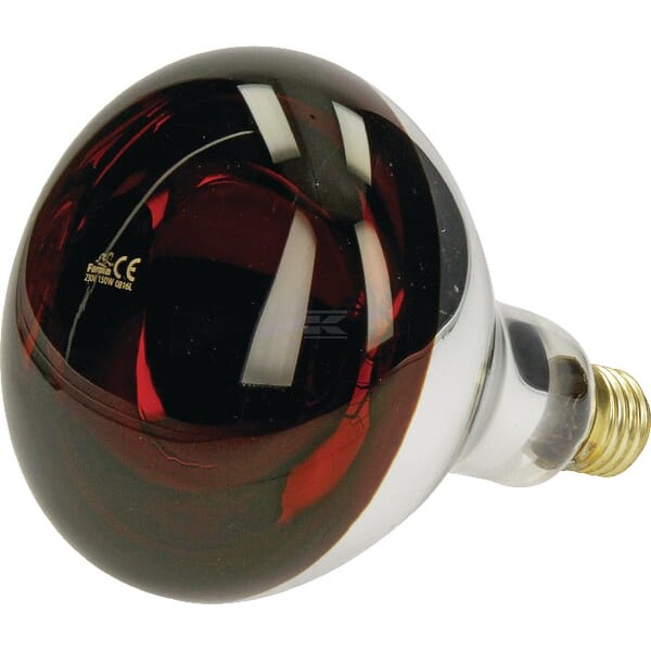 Promiennik HardGlass 150W czerwony 802003FA | Exvi